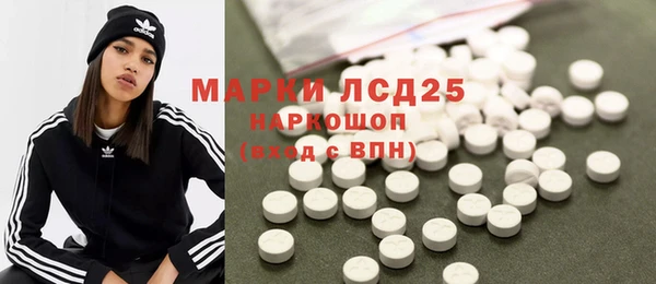 индика Нягань