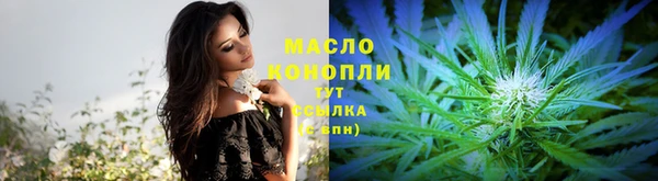 индика Нягань