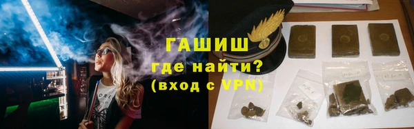 индика Нягань