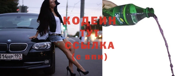 индика Нягань