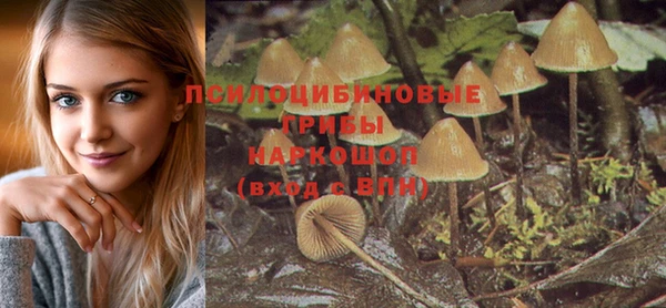 мефедрон Новодвинск