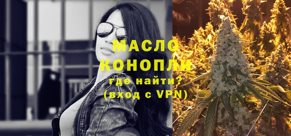 индика Нягань