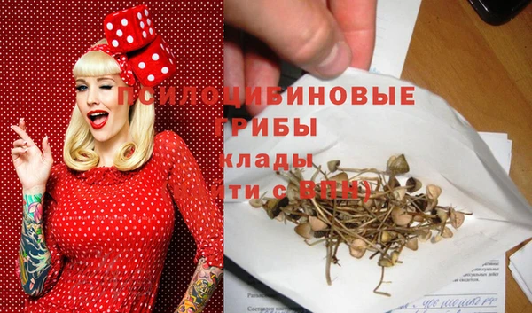 таблы Няндома
