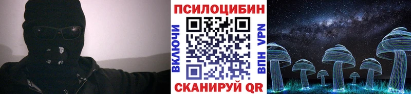где купить наркоту  сайты даркнета Telegram  hydra сайт  Галлюциногенные грибы GOLDEN TEACHER  Чкаловск 